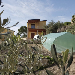 Casa Vacanze Al Canneto